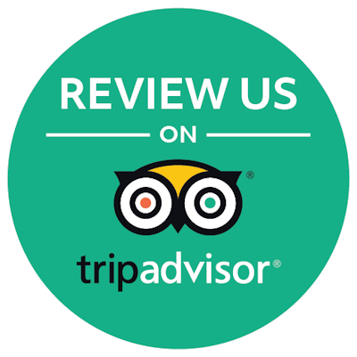 TripAdvisor icon